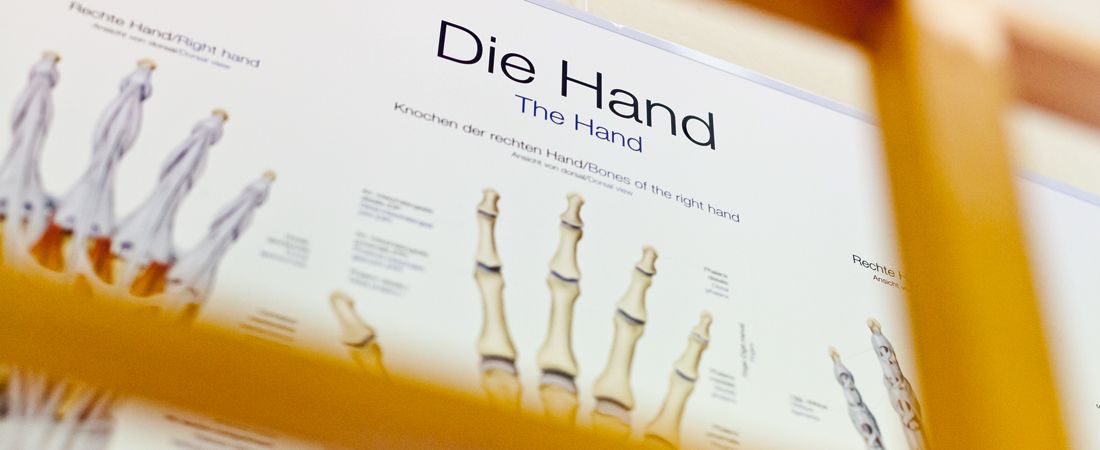 Ausschnitt einer Infotafel über den Aufbau der Hand Ausschnitt einer Infotafel über den Aufbau der Hand